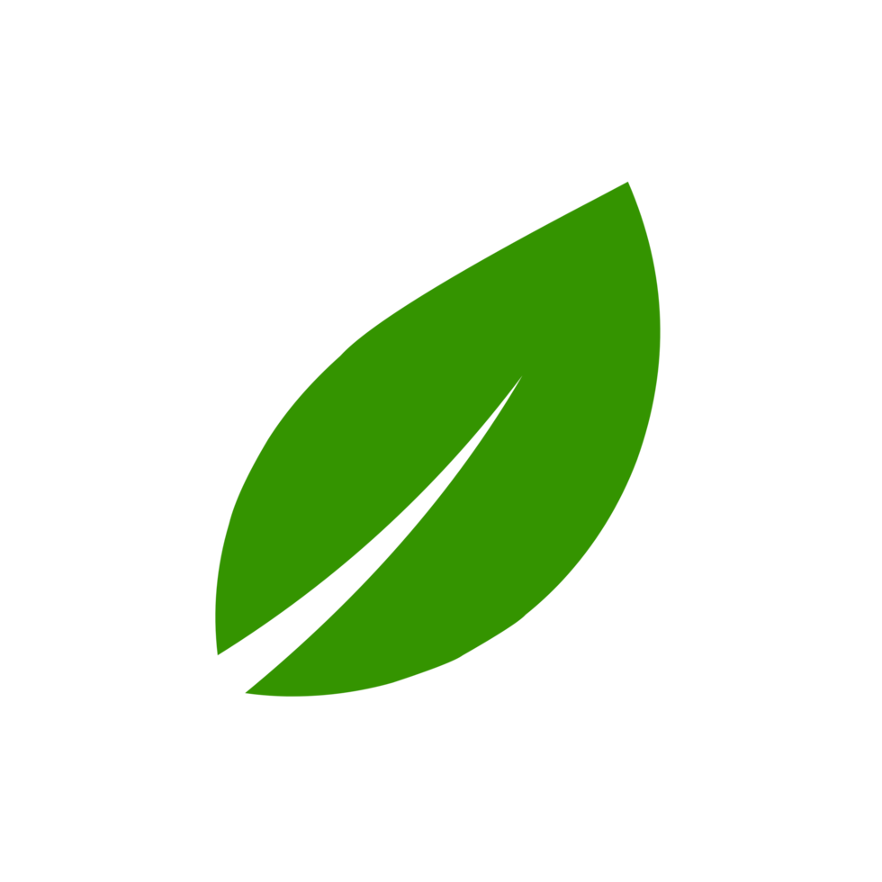 Green leaf logo design png