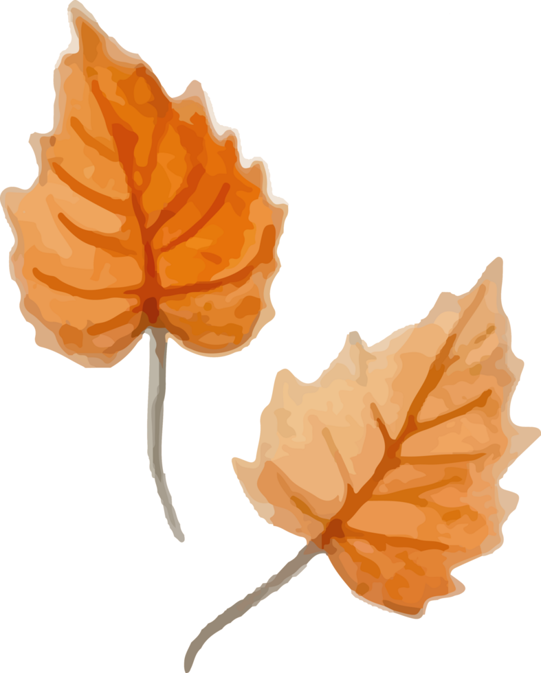 Brown Autumn Leaves Falling Gently Watercolor Illustration Element png