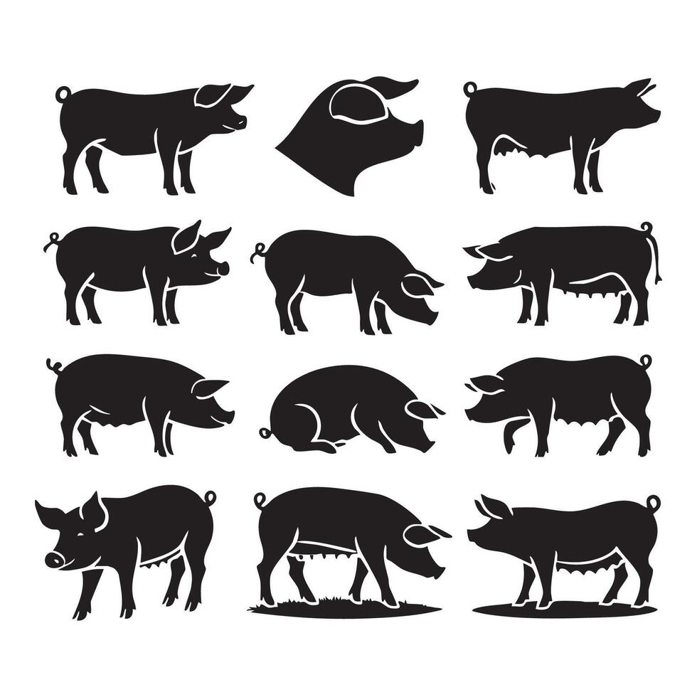 Elegant pig silhouette designs placed on a white background vector
