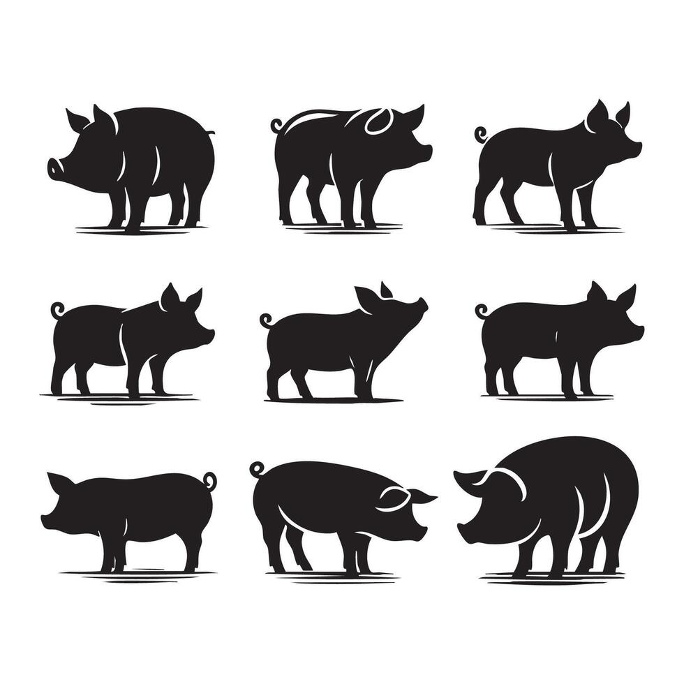 White background featuring various pig silhouettes vector