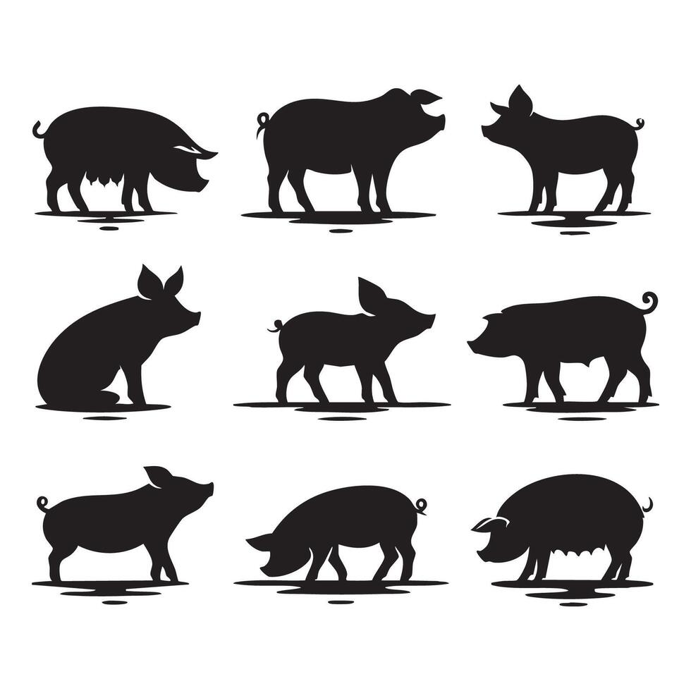 Assortment of pig silhouettes on a clean white background vector