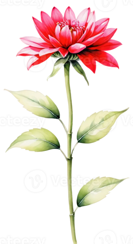 water color red flowers with brown branches and green leaves png