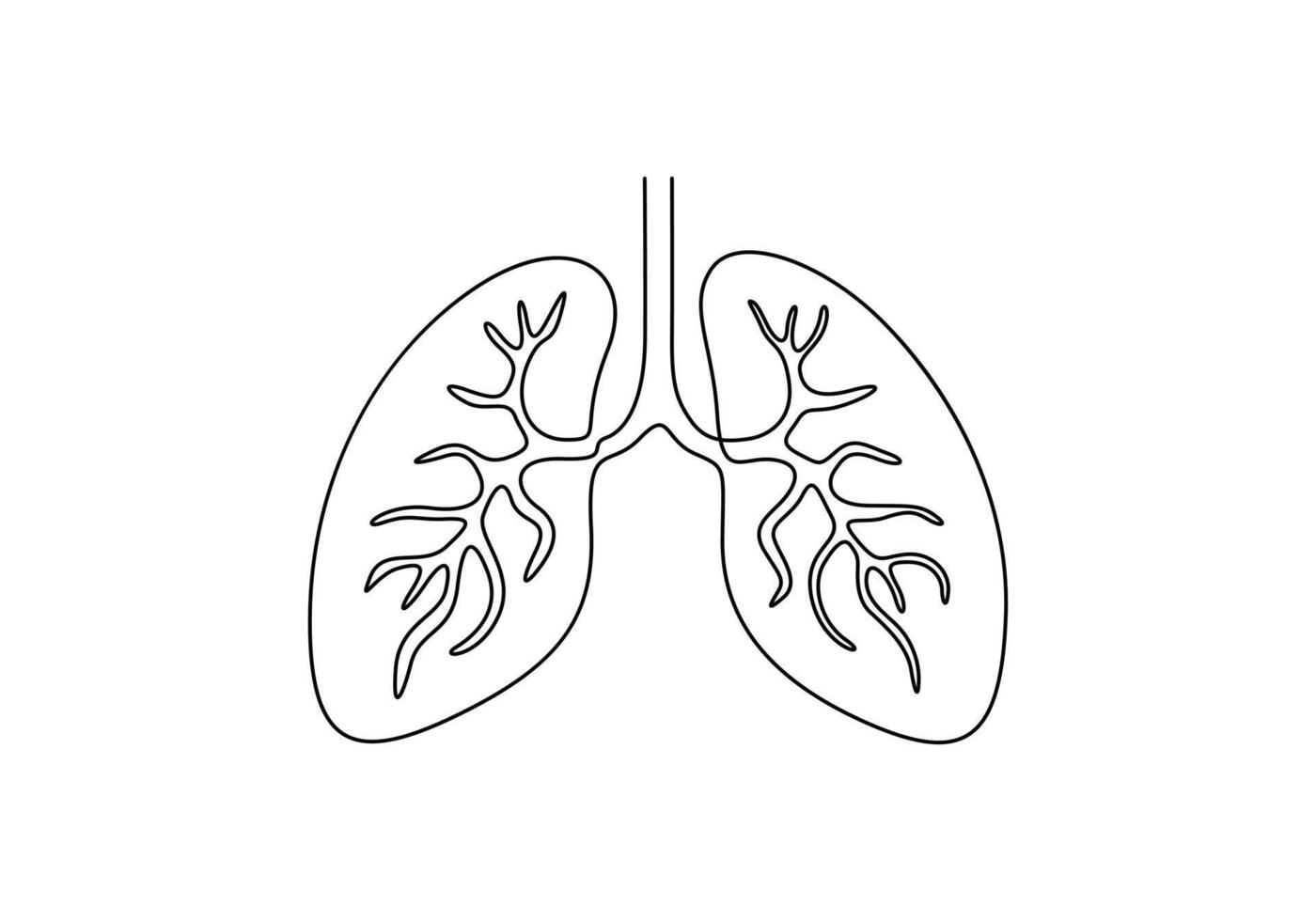 One continuous line art anatomical human lungs graphic illustration vector