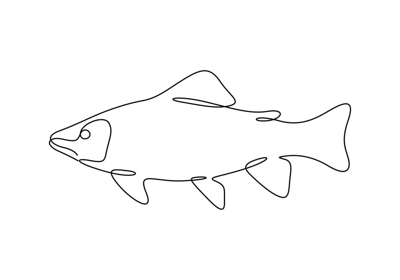 White bass fish continuous one line drawing. Graphic illustration vector