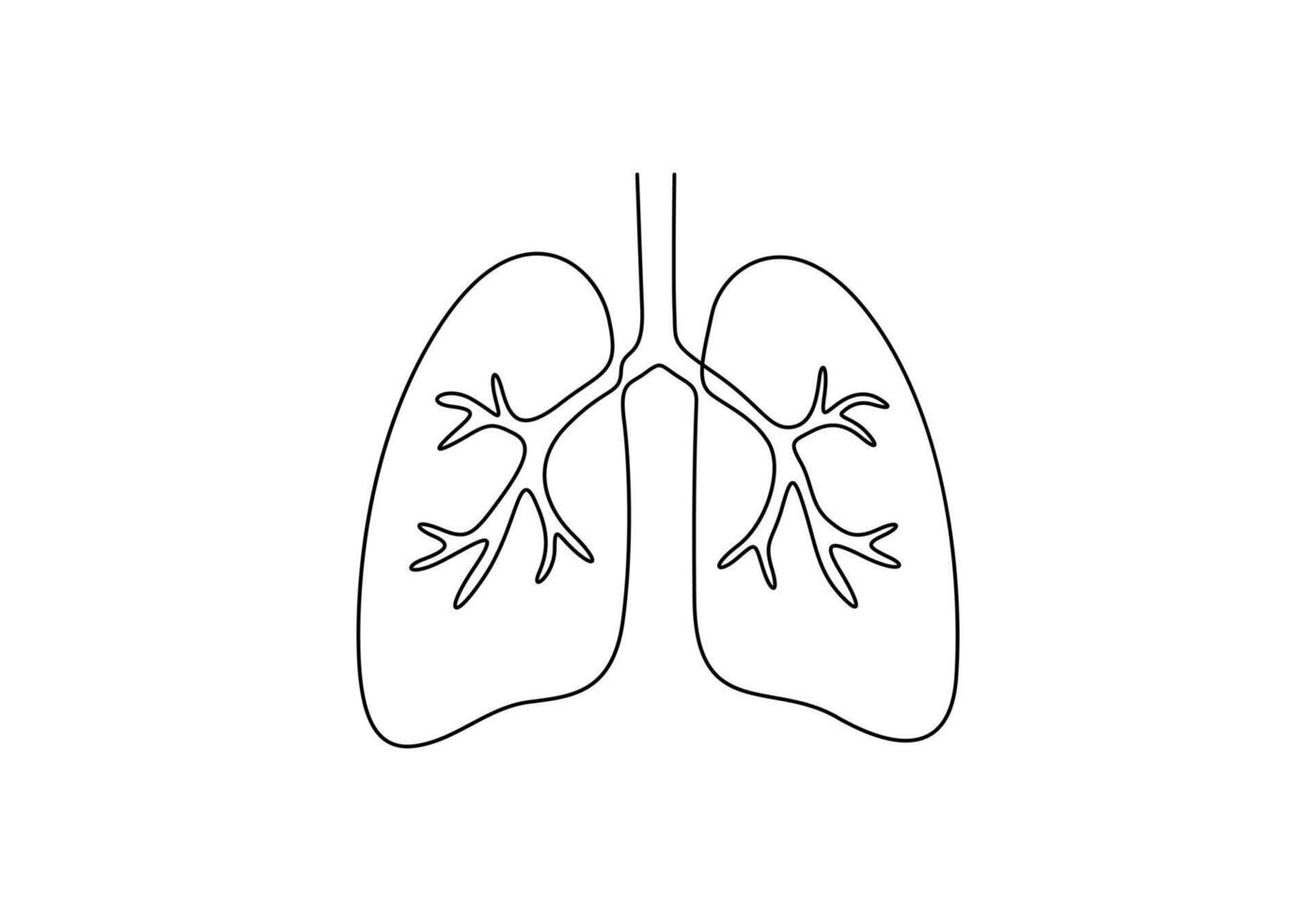Continuous single line art anatomical human lungs graphic illustration vector