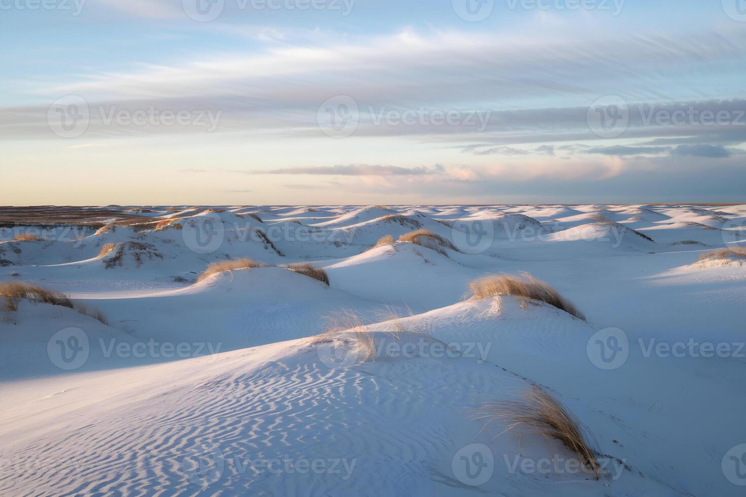 Snow covered dunes stretch to the horizon with light and shadow playing across photo
