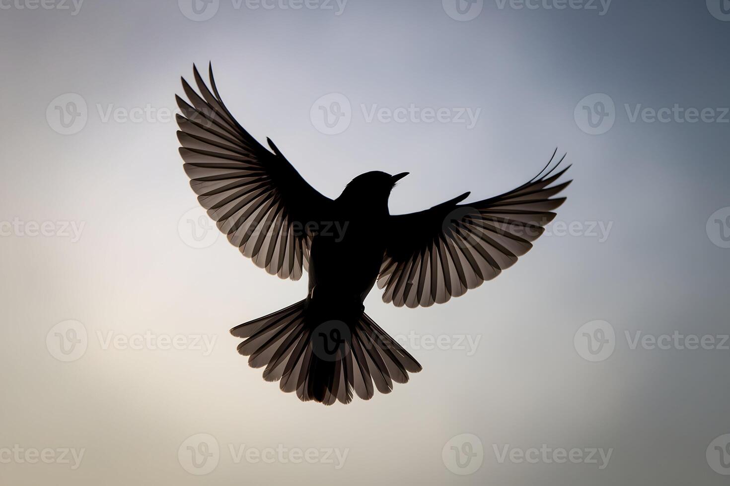 Bird mid flight silhouette, wings spread wide, dynamic pose against gradient background photo