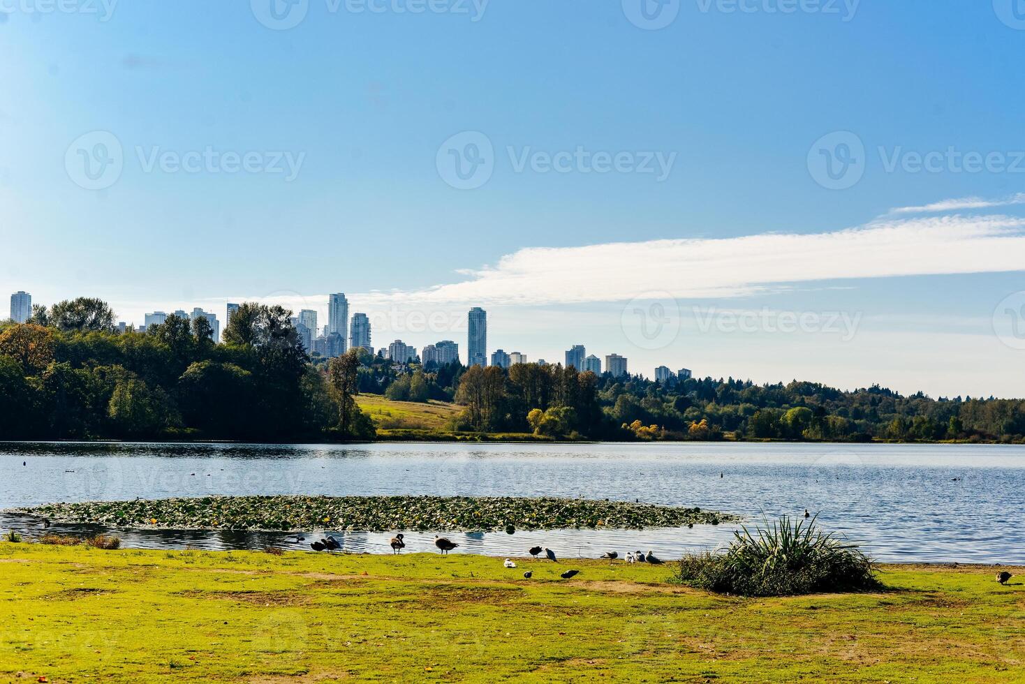 Deer Lake Park, Burnaby, BC, Canada - december, 2019 photo