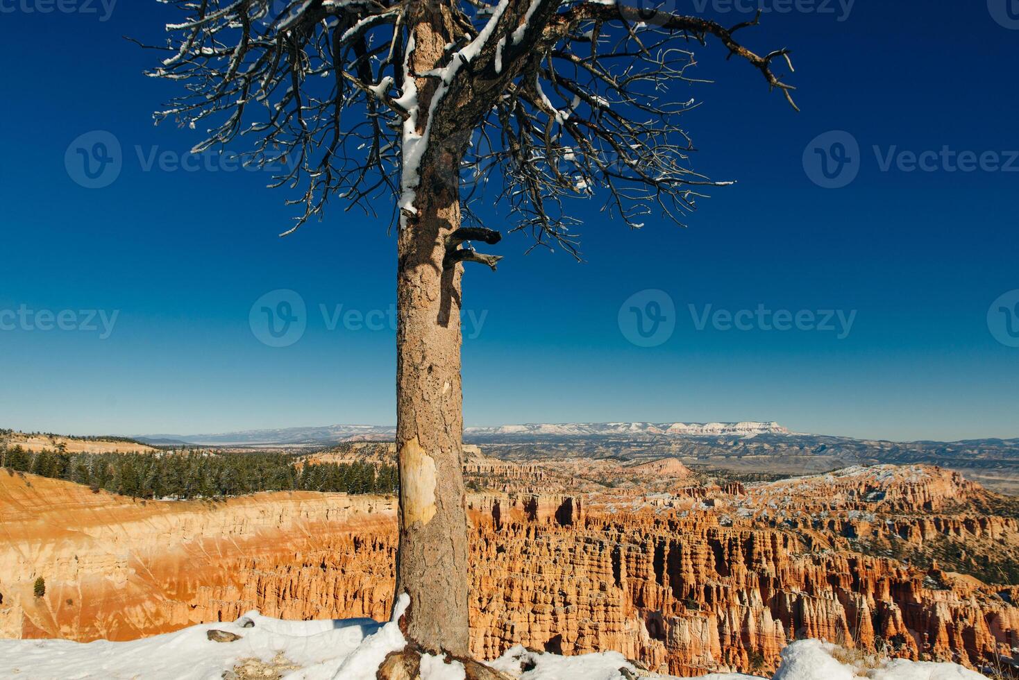 Bryce Canyon National Park in southwestern Utah photo
