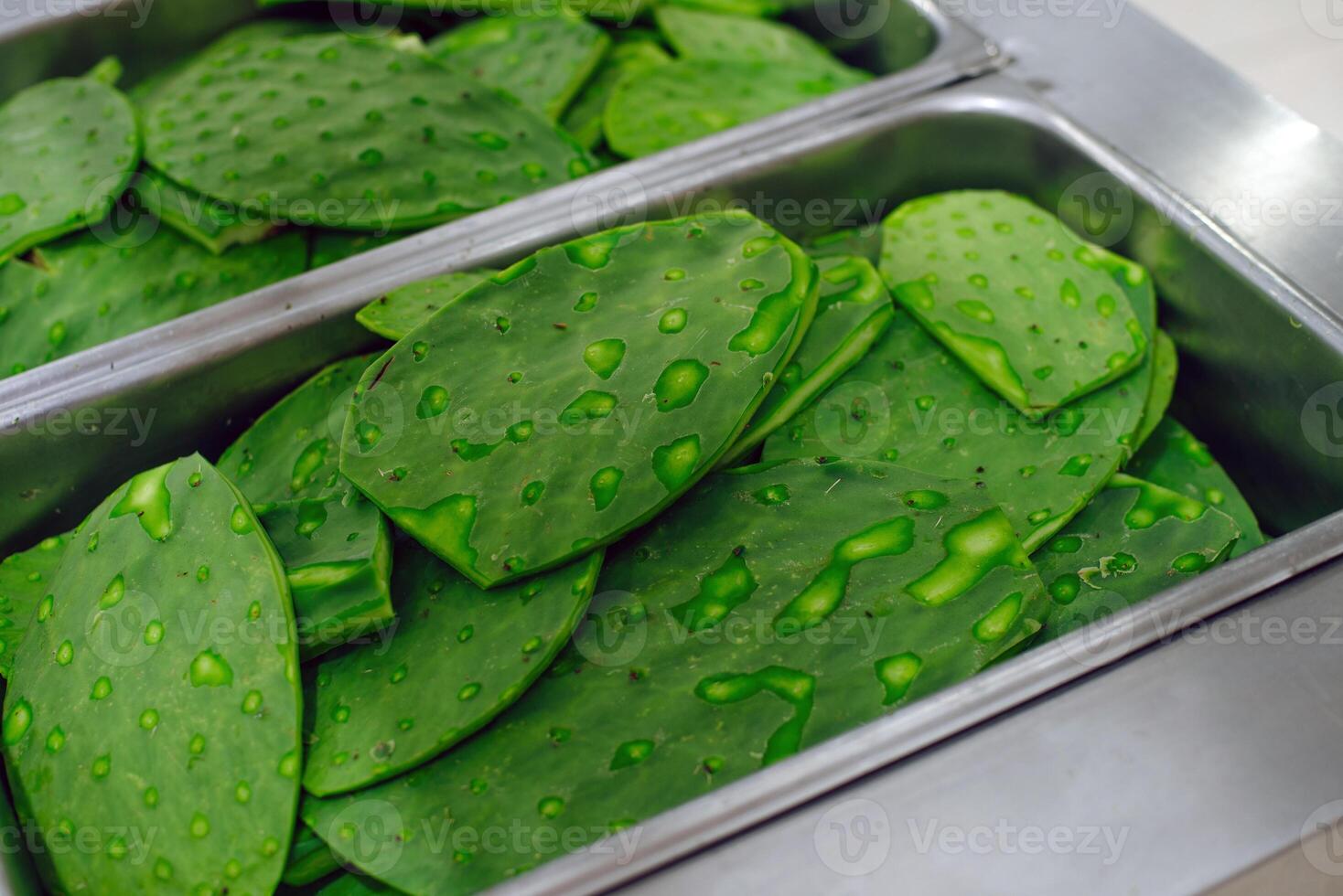 green cactus for sale in the supermarket, mexico photo