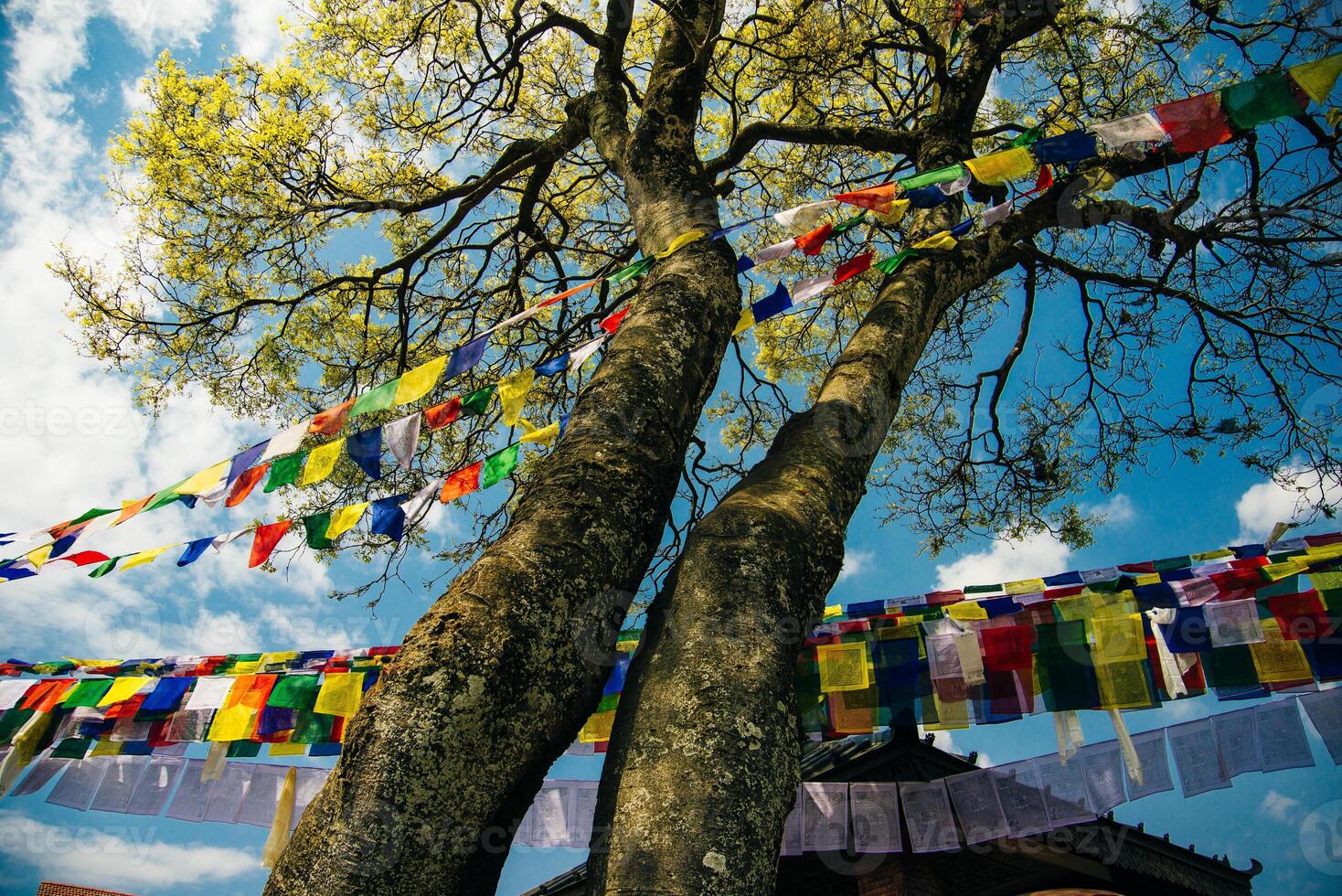 Colorful Buddhist prayer flags at blue sky in Kathmandu valley, Nepal photo