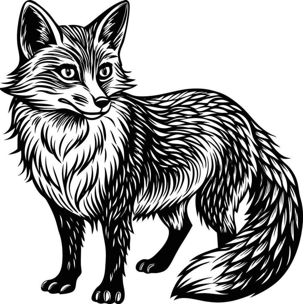 A black and white drawing of a fox vector