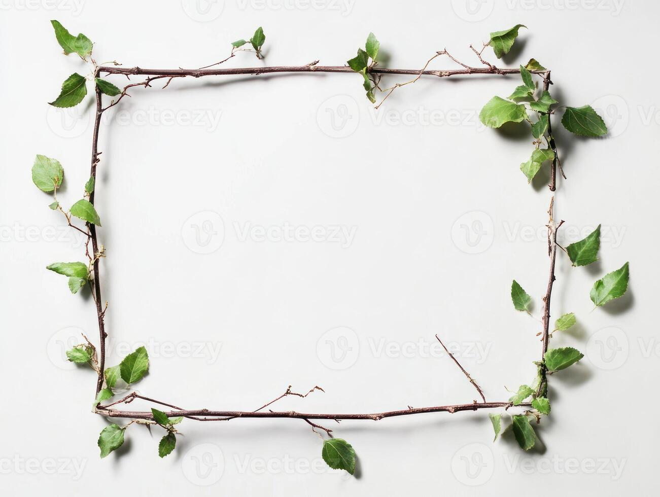 Nature inspired frame with green leaves on white background photo