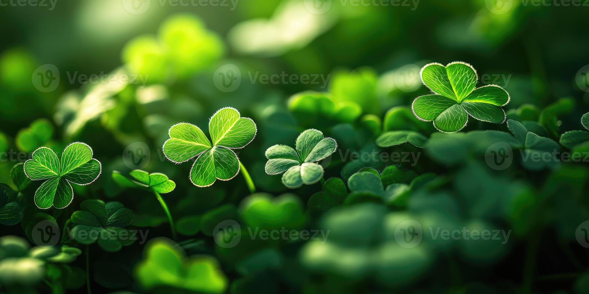 Light green textured background with subtle shamrocks for st. Patricks day design photo