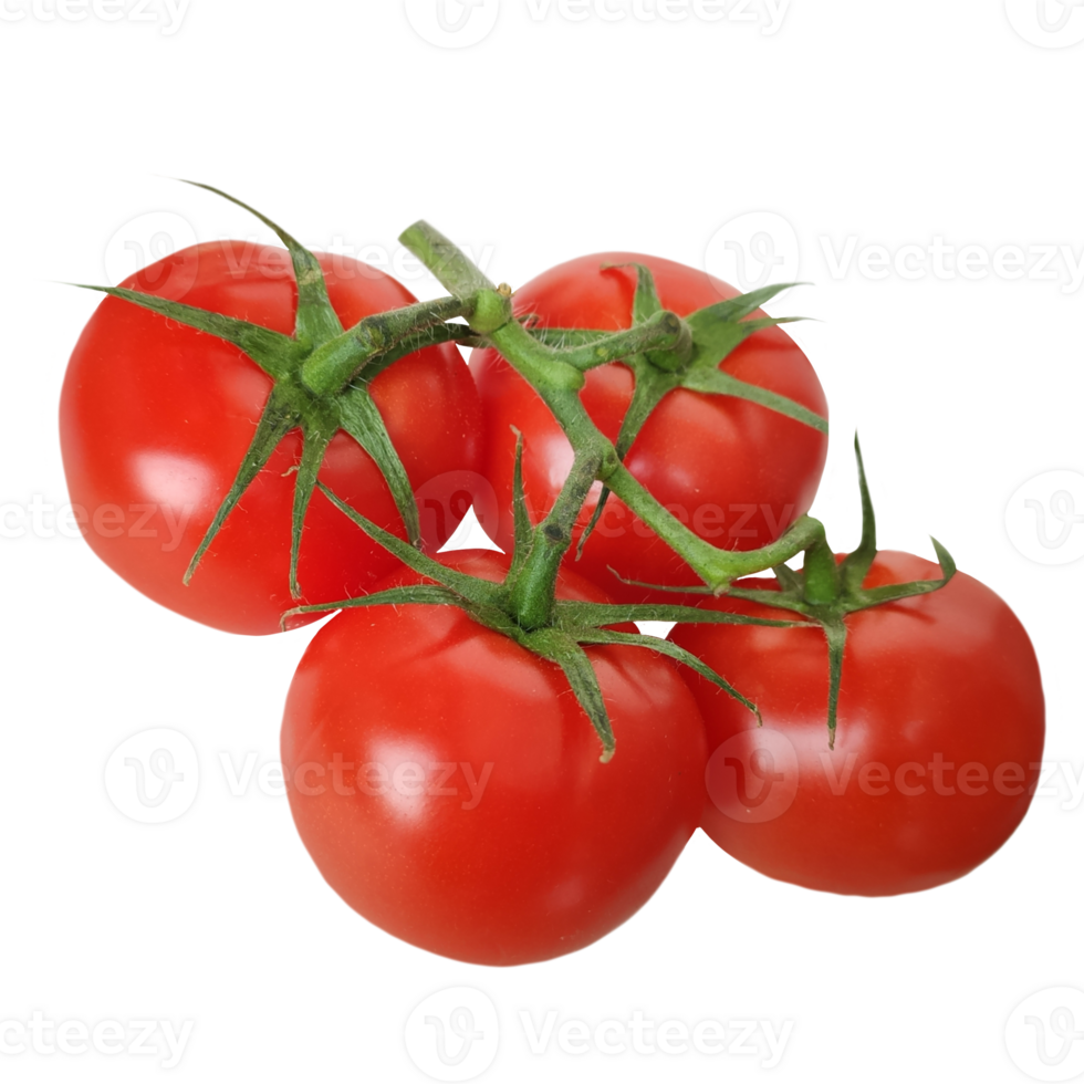 a group of fresh tomatoes isolated from the background png