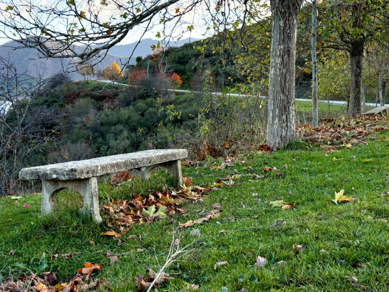 Rustic stone bench in a serene autumn landscape with trees and rolling hills photo