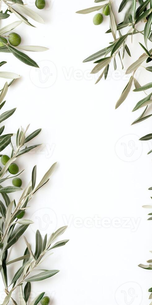 Fresh olive branches with green olives on white background photo
