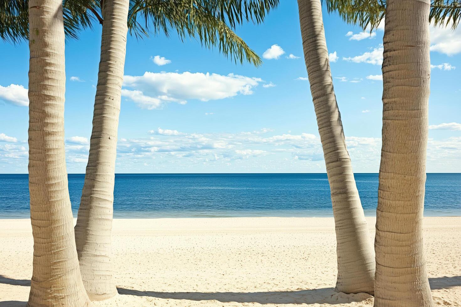 Palm Trees Framing a Tranquil Beachscape photo