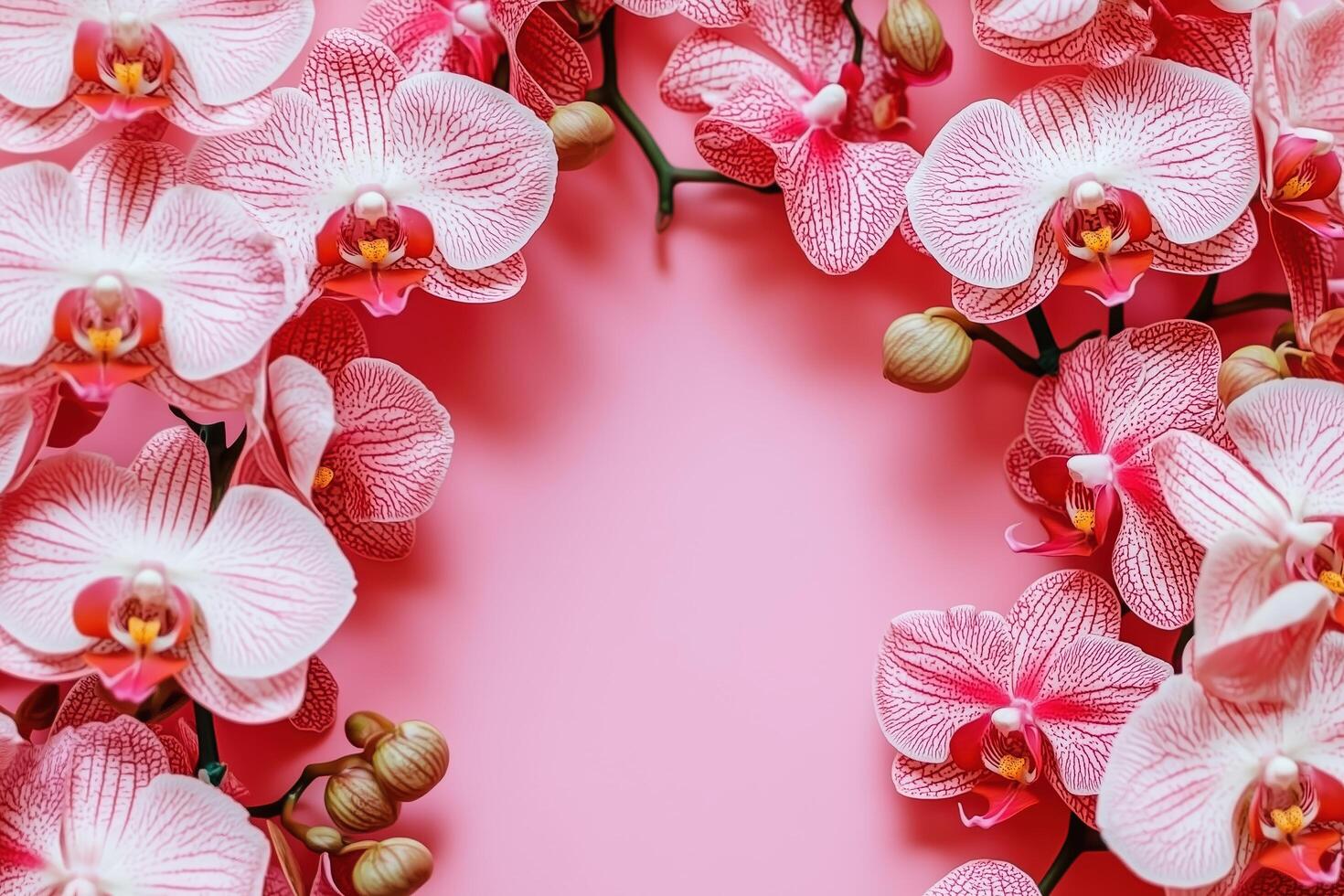 Delicate Pink Orchids on a Vibrant Background photo