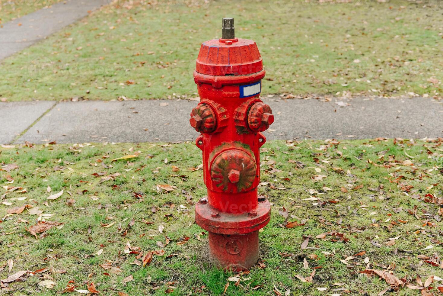 Red hydrant fire detail prevention system with green out of focus wood in background photo
