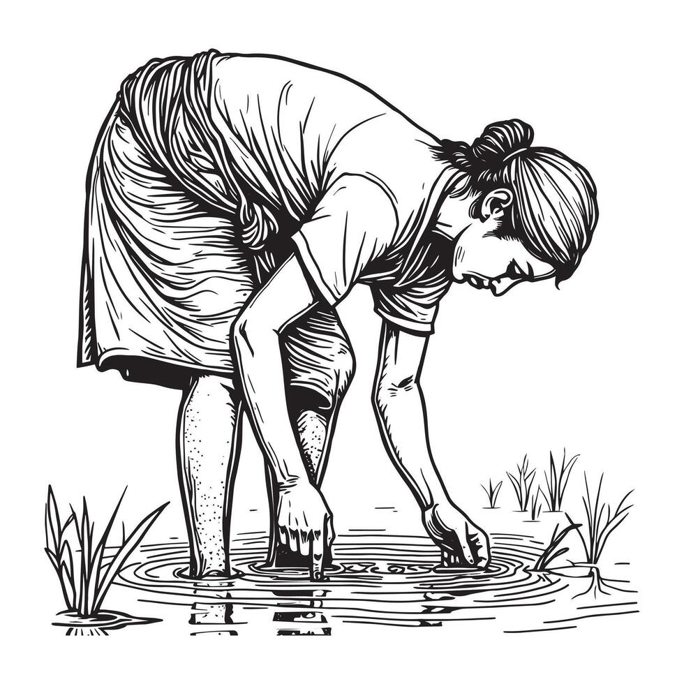 In the Fields A Tribute to Traditional Rice Farming vector
