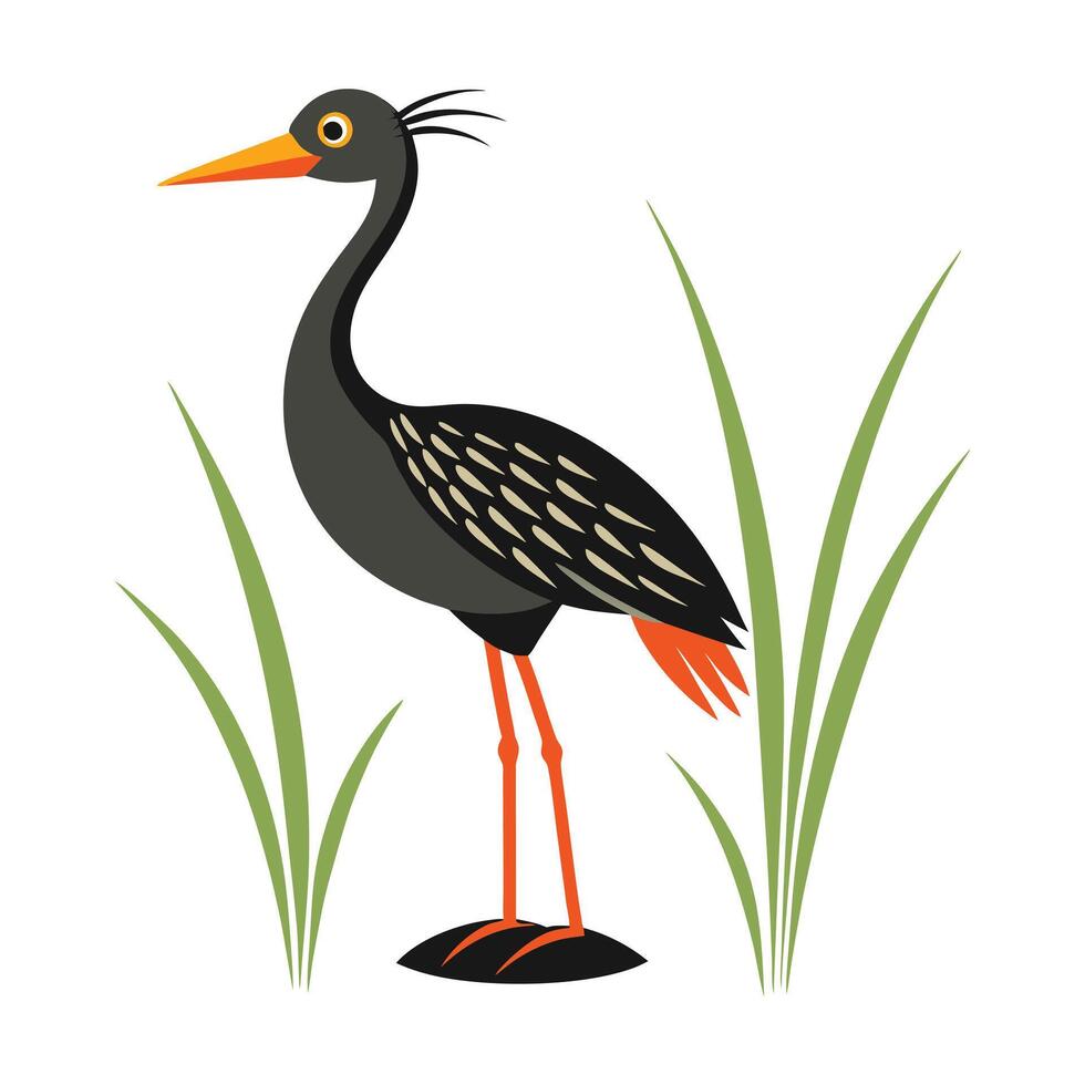 a black bird standing in the grass with long legs vector