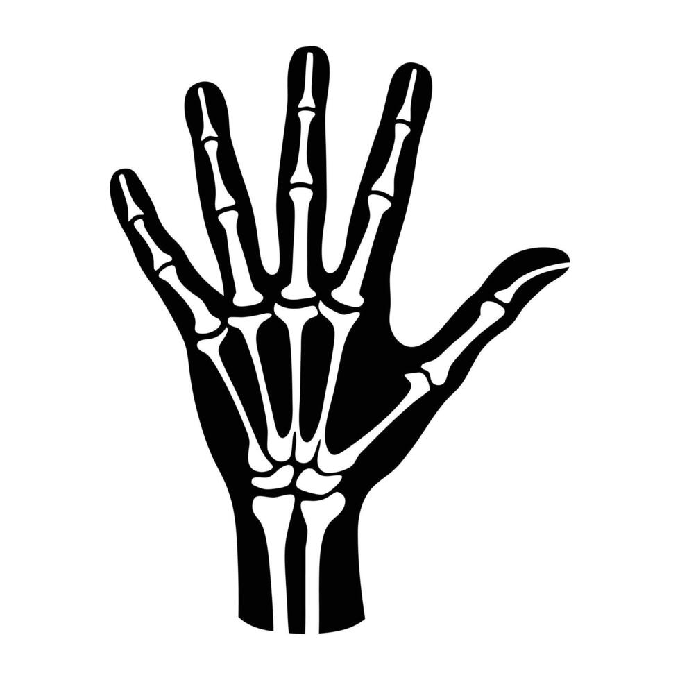 a black and white illustration of a hand with a skeleton vector