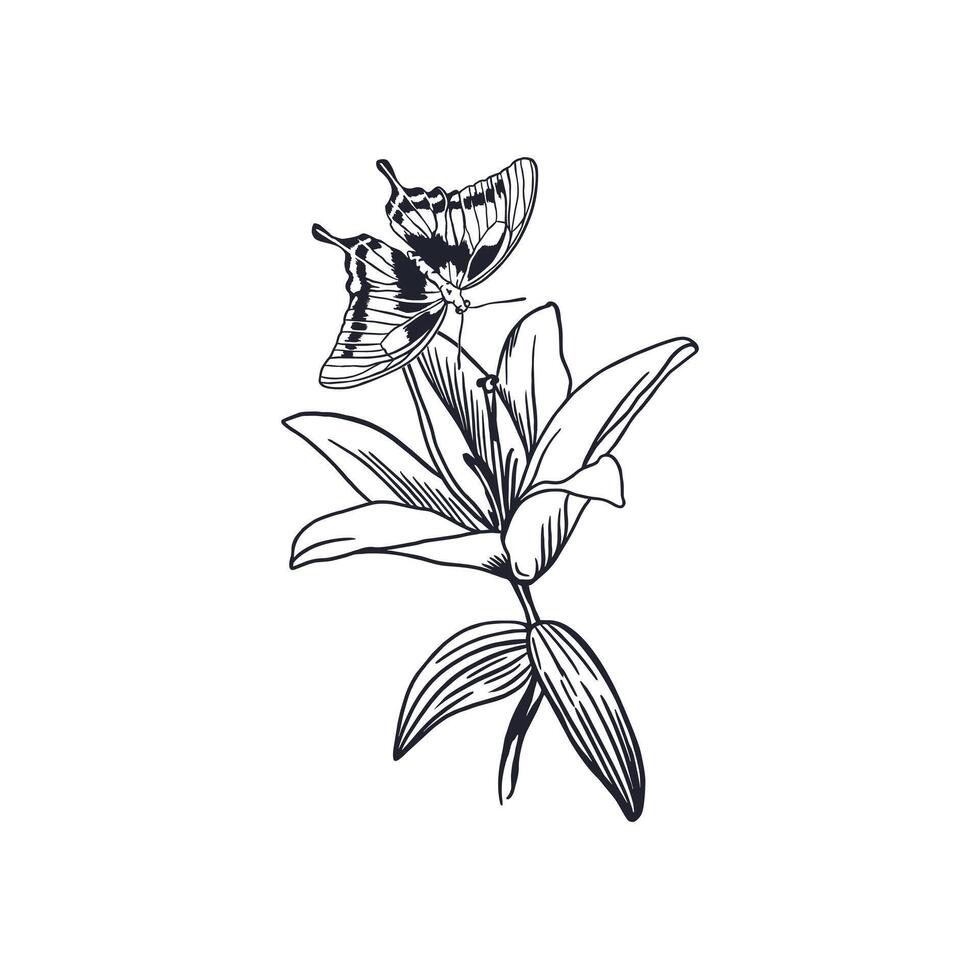 Lily with butterfly. Hand drawn illustration of flower and insect silhouette in graphic style. For cards, invitations, tattoo, labels, covers, banners, posters. vector