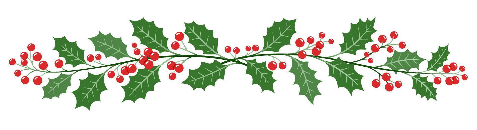 Holly christmas berries cherry branch color illustrations vector