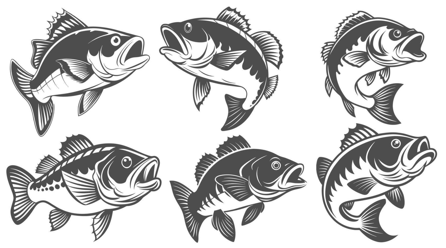 Bass fish Design set vector