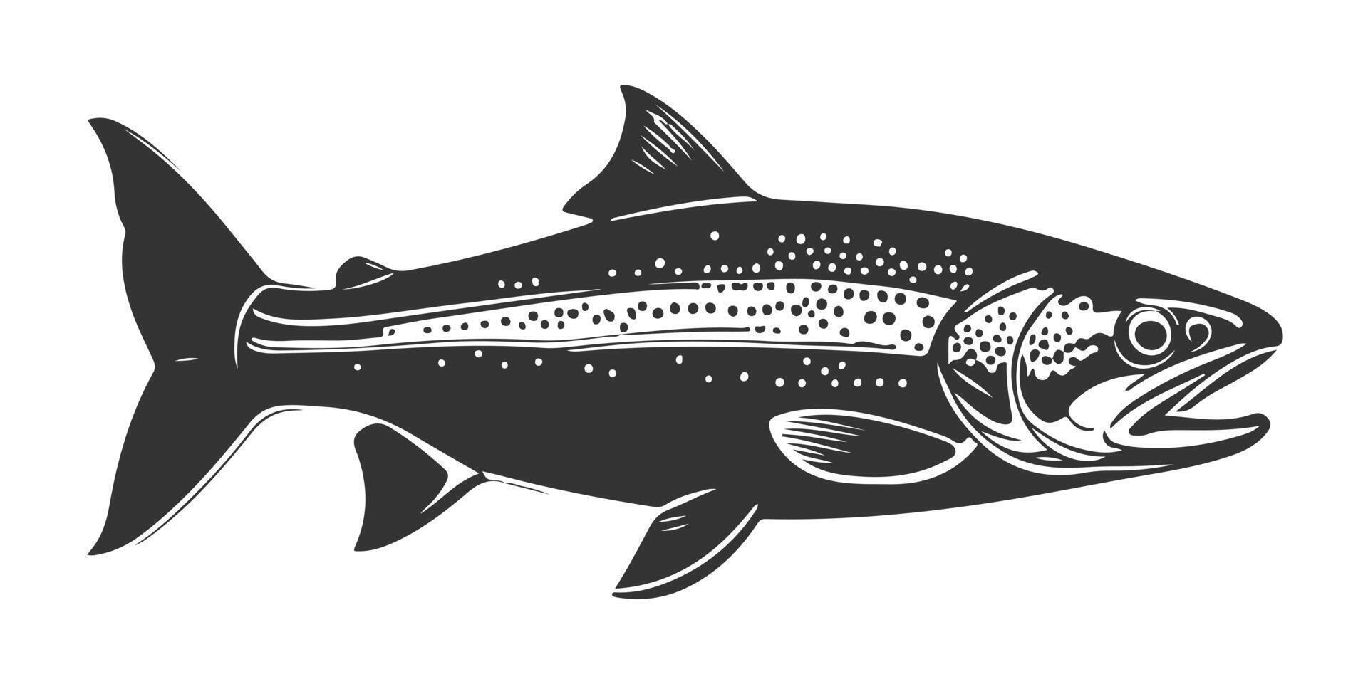 a black and white illustration of a salmon vector