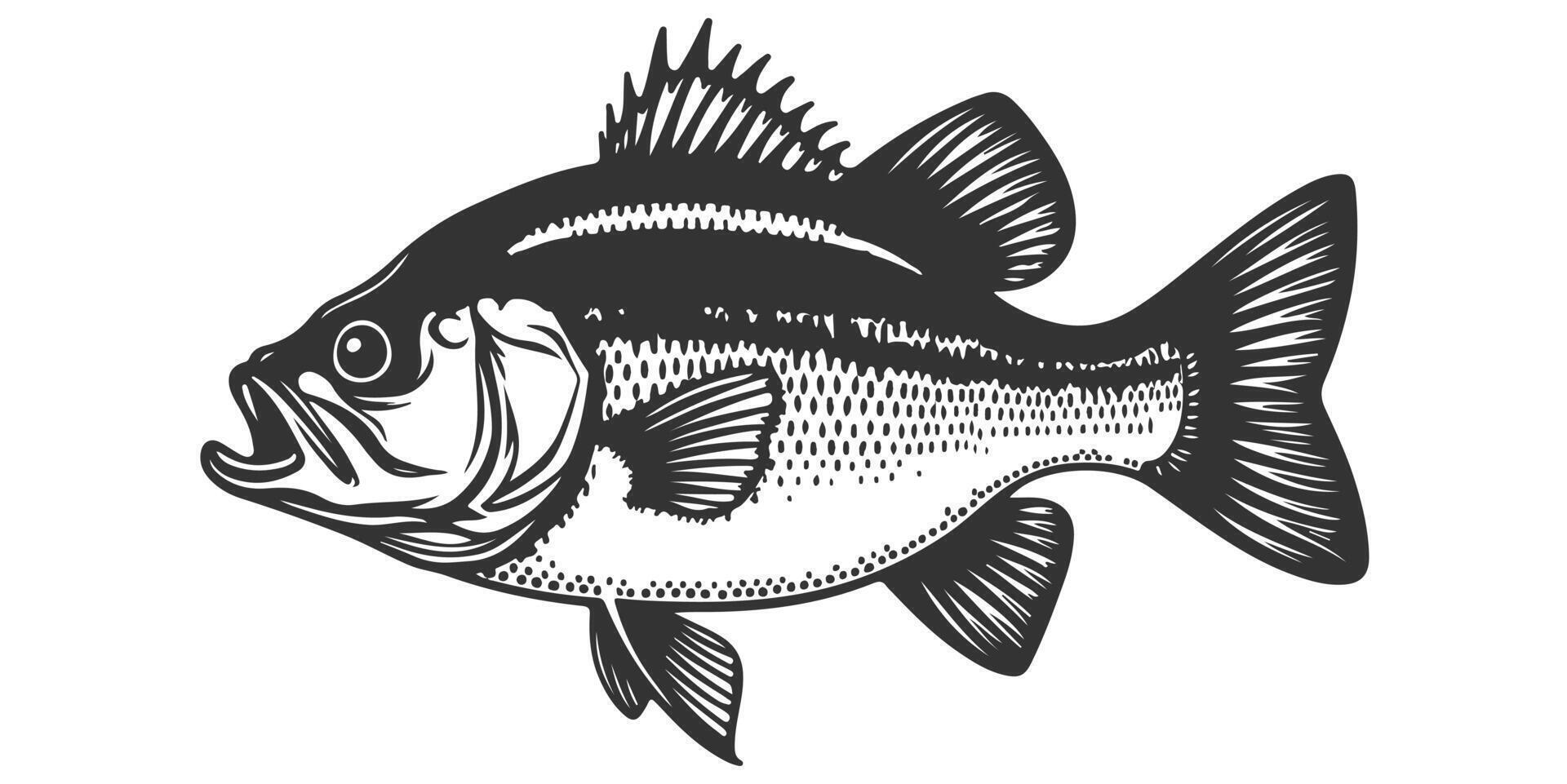 a black and white drawing of a bass fish vector