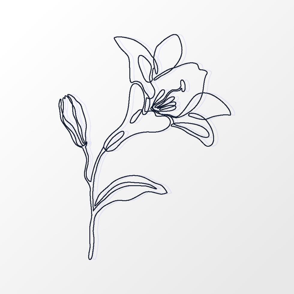 One Continuous Line of a Beautiful Lily Flower with Leaves. Hand drawn spring herbs and plants. Abstract floral sketch in one continuous line drawing. Perfect as a logo, tattoo, greeting cards vector