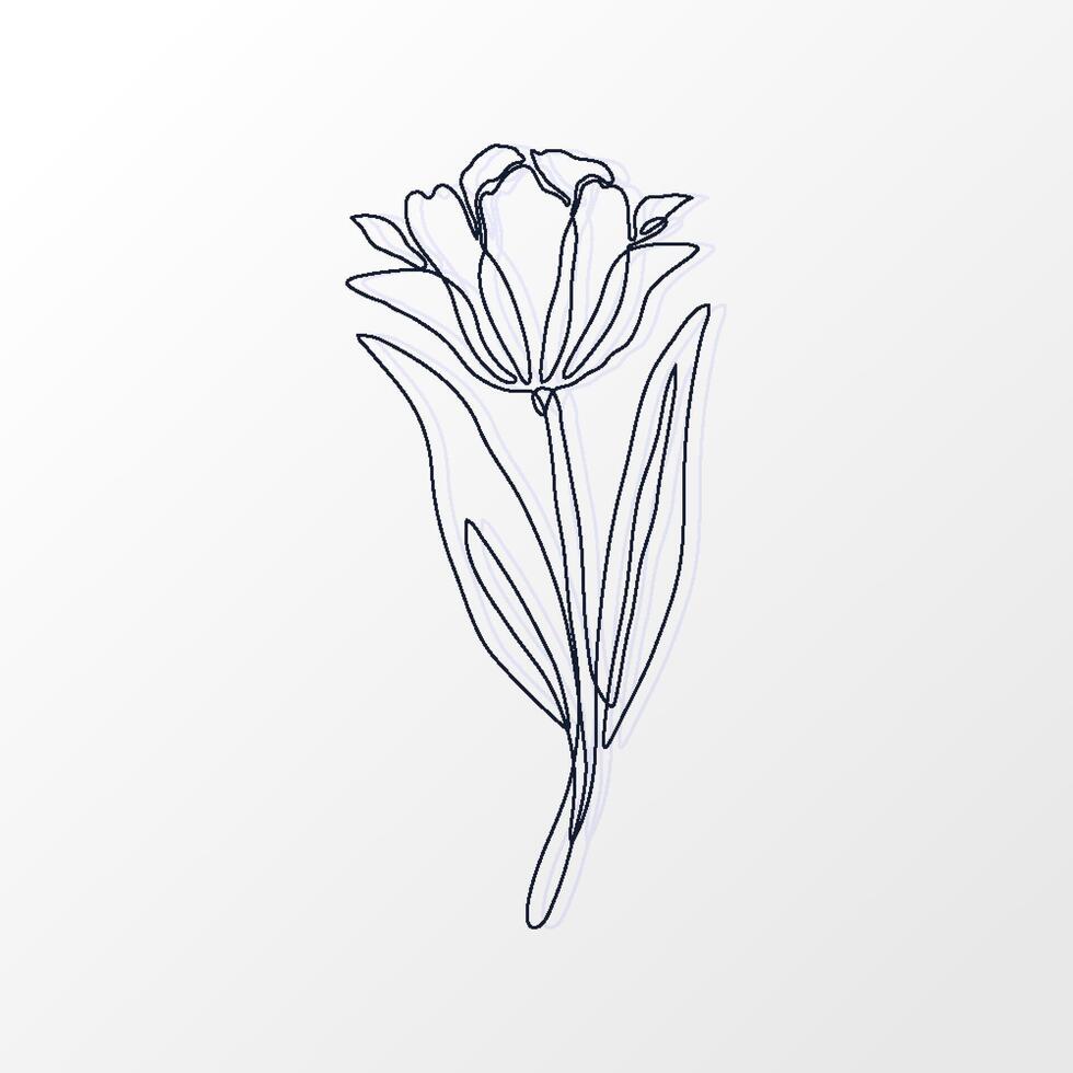 One Continuous Line of a Simple Tulip Flower with Leaves. Hand drawn spring herbs and plants. Abstract floral sketch in one continuous line drawing. Perfect as a logo, tattoo, greeting cards, website vector