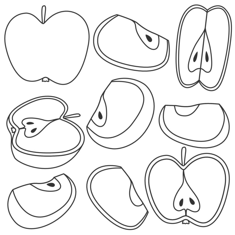Set of apple halves, slices, and cross sections in doodle hand drawn style. Apple fruit icons vector