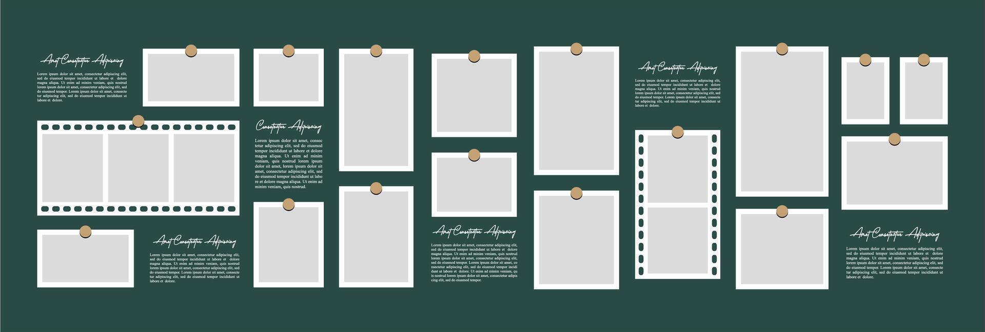 Collage grid photo effect vector