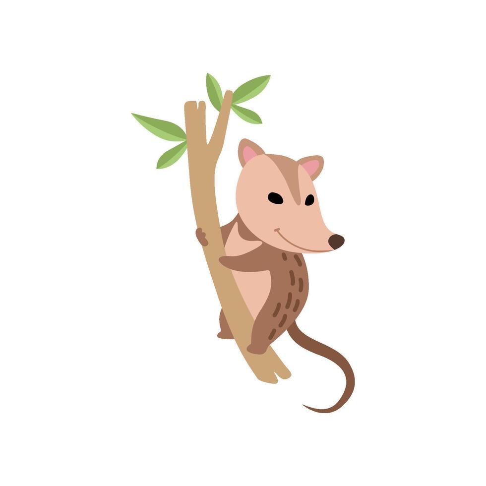 Cute Opossum Wild Animal on Tree Branch Illustration vector
