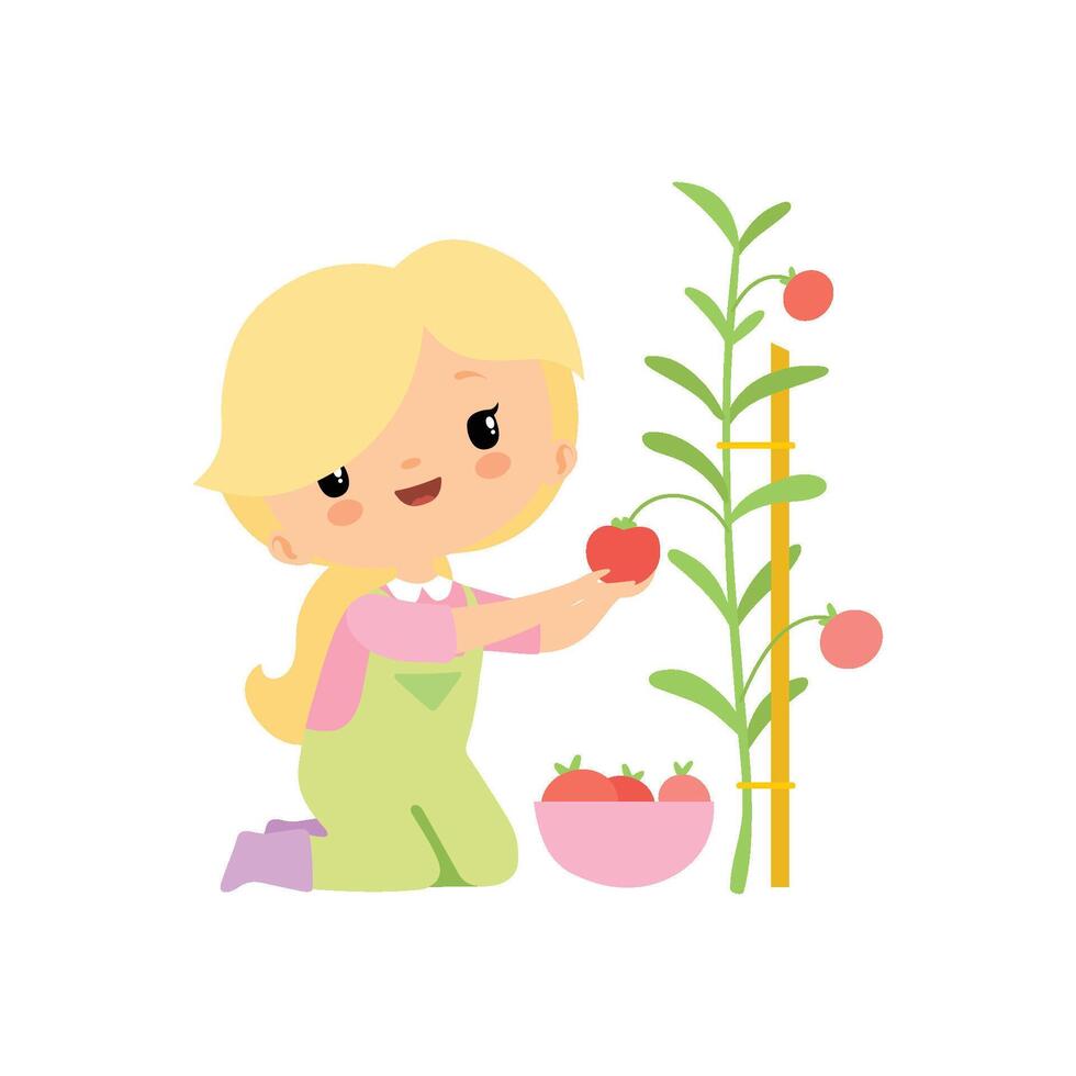 Cute Young Girl in Overalls and Rubber Boots Harvesting Tomatoes in Bowl, Farmer Girl Cartoon Character Working in Garden Illustration vector