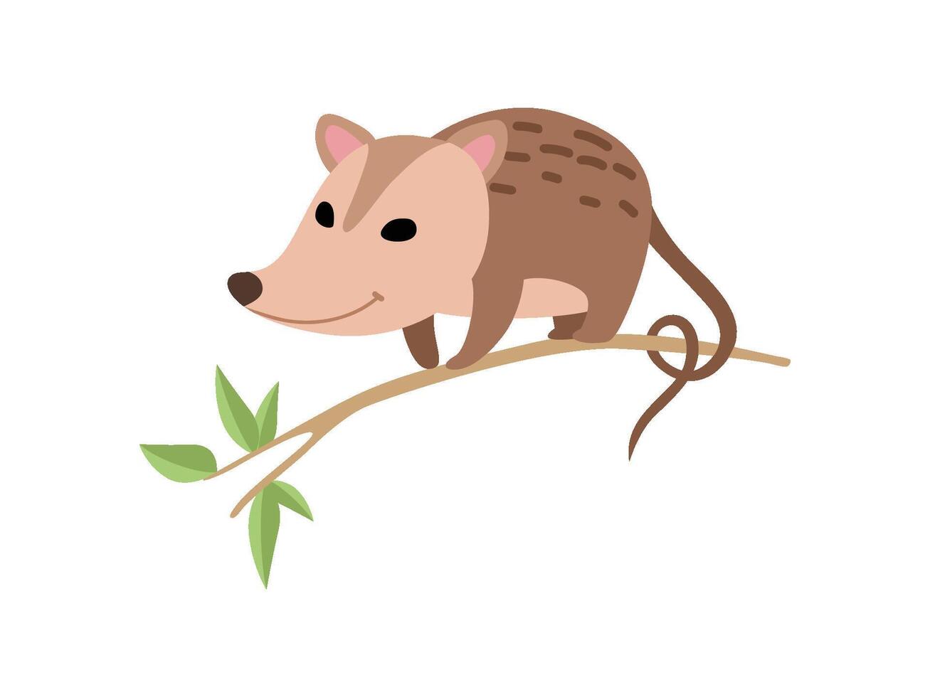 Cute Opossum Sitting on Tree Branch, Adorable Wild Animal Illustration vector