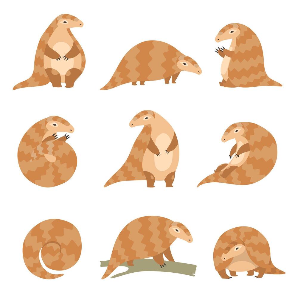 Cute Pangolin Animal in Various Poses Set, Rare Species of Animals Cartoon Illustration vector