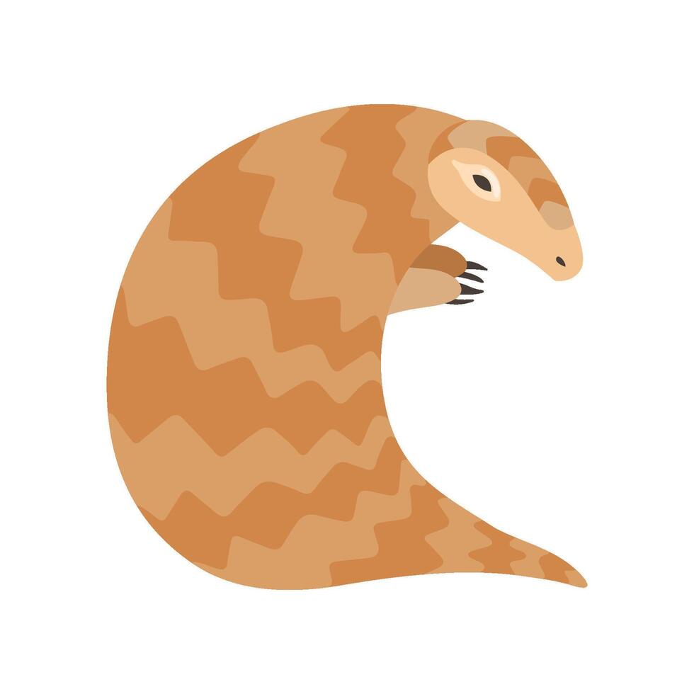 Cute Pangolin Rare Species of Animals Illustration vector