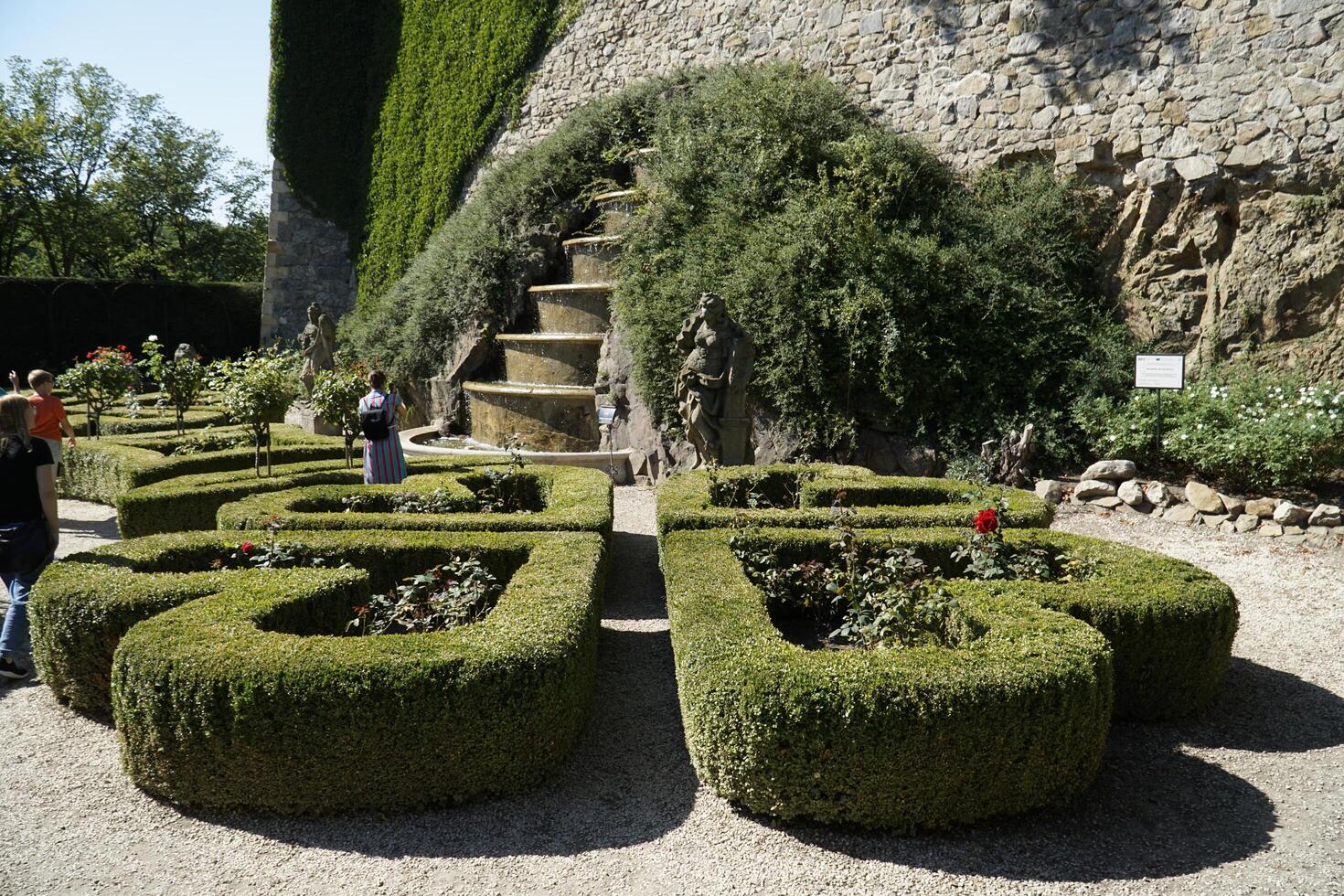 Walbrzych, Poland - August 12th, 2024 - Hedge trimmed in geometrical pattern in Ksiaz Castle garden photo