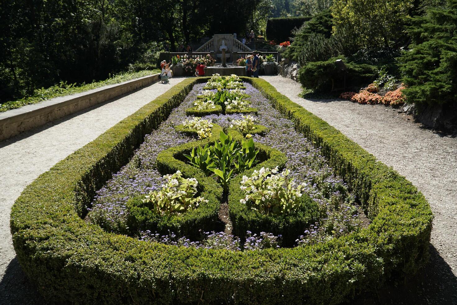 Walbrzych, Poland - August 12th, 2024 - Hedge trimmed in geometrical pattern in Ksiaz Castle garden photo