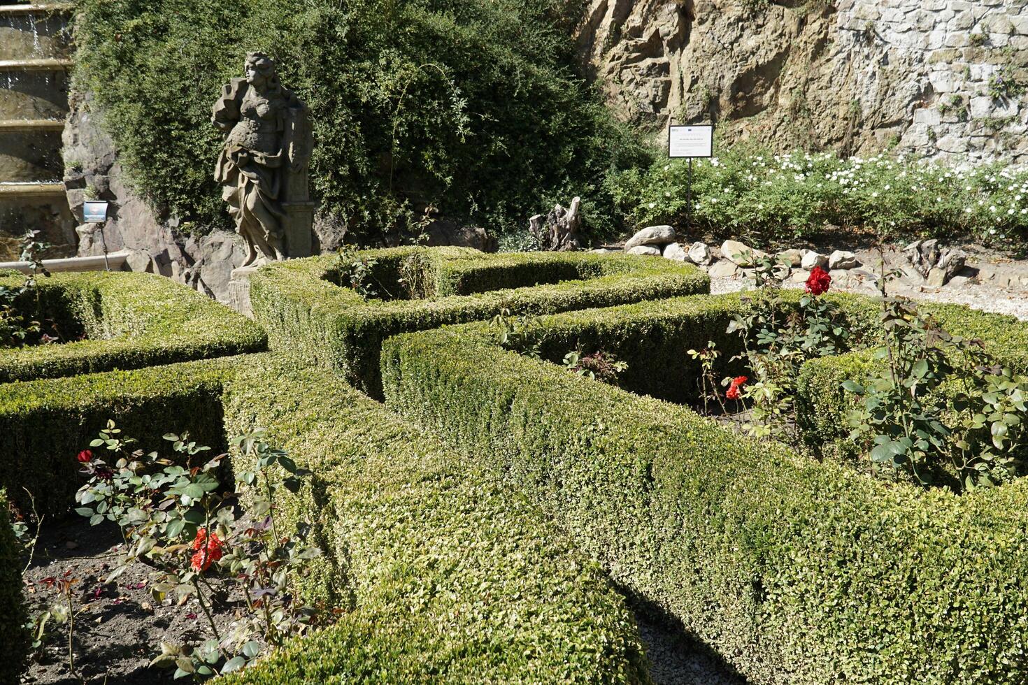 Walbrzych, Poland - August 12th, 2024 - Hedge trimmed in geometrical pattern in Ksiaz Castle garden photo