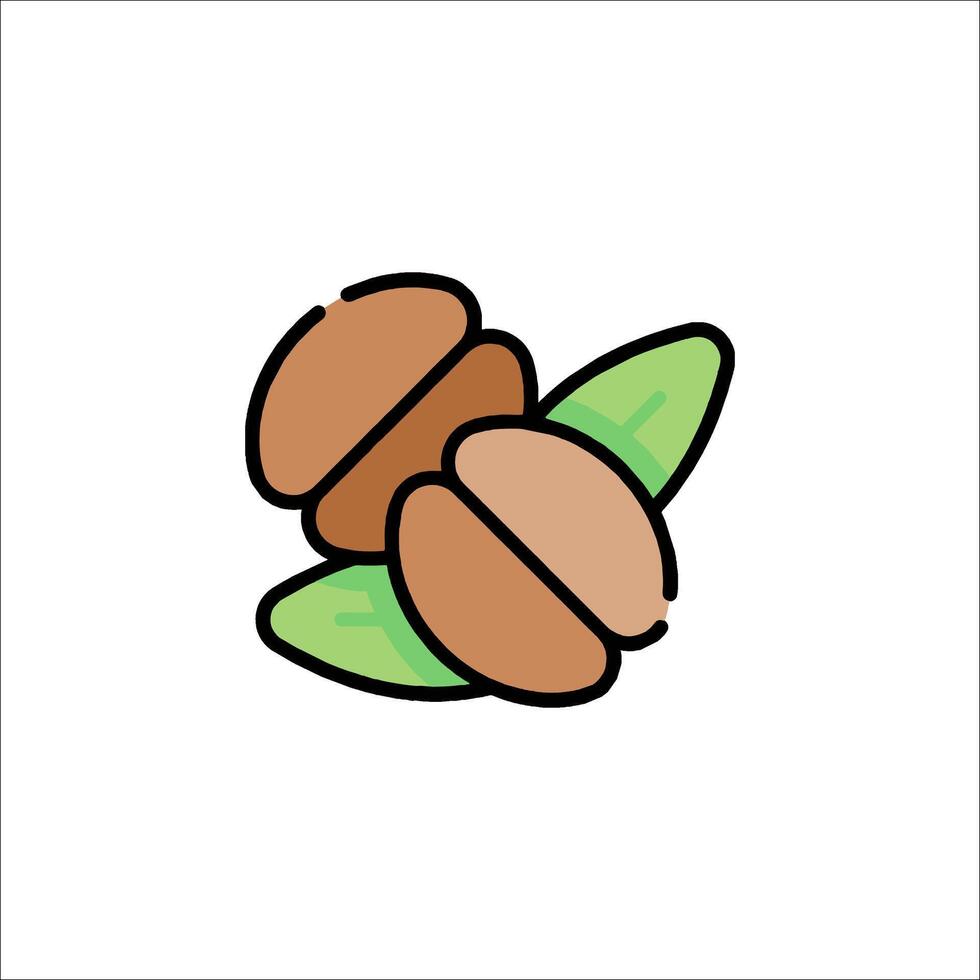 Two nuts with leaves on a white background vector