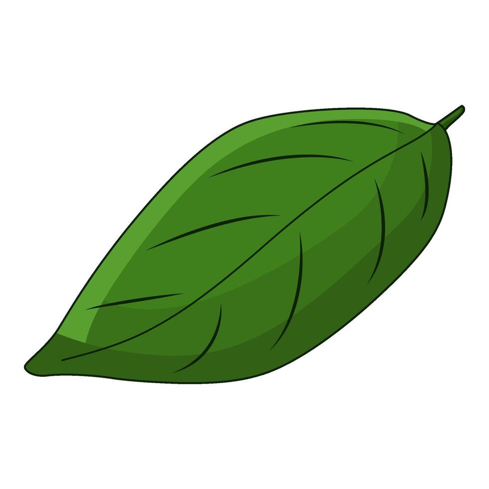 illustration of Leaf vector