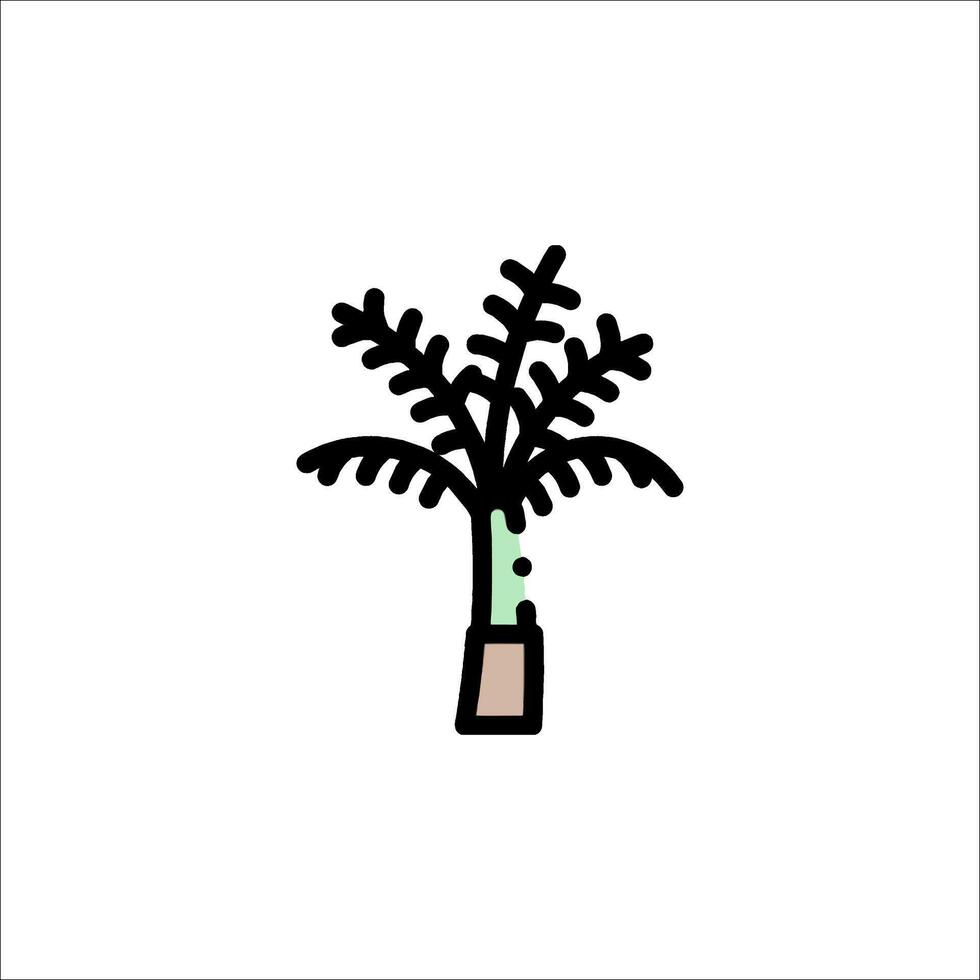 A palm tree in a pot on a white background vector