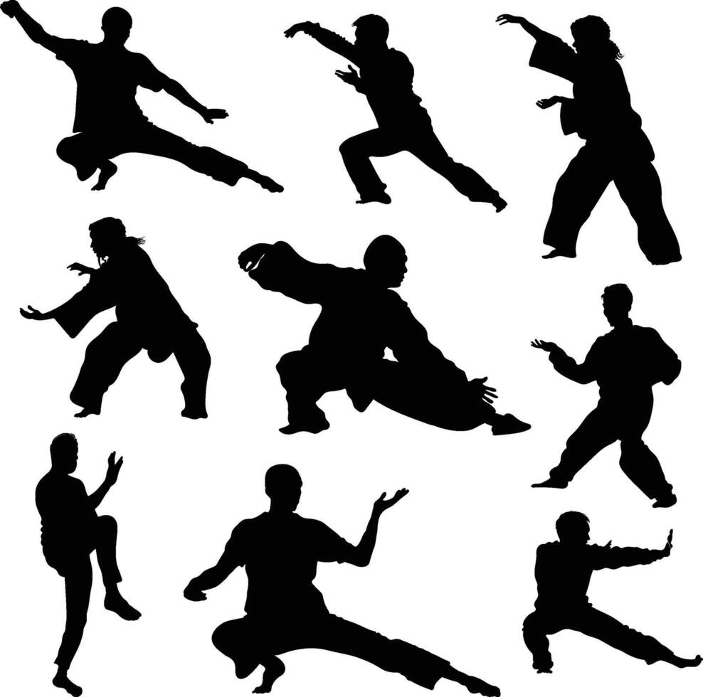Tai chi Silhouettes Illustration Isolated On White Background vector