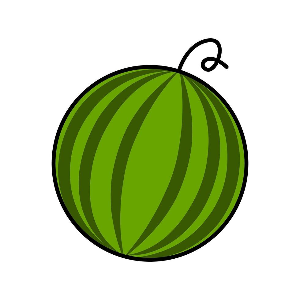 flat watermelon illustration vector