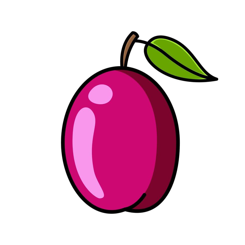 victoria plum illustration vector